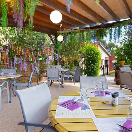 Les Pins Blancs En Provence