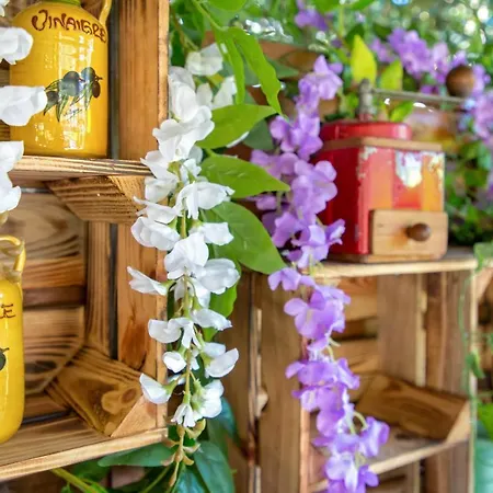 Les Pins Blancs En Provence
