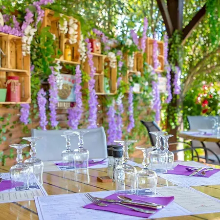 Hotel Les Pins Blancs En Provence